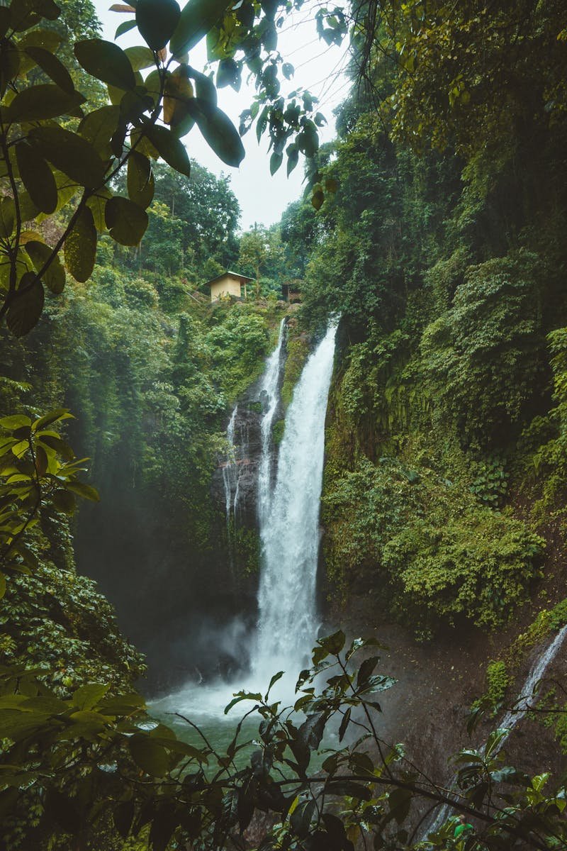 Stunning waterfall in a lush tropical rainforest in Sukasada, Bali. Perfect for nature lovers.